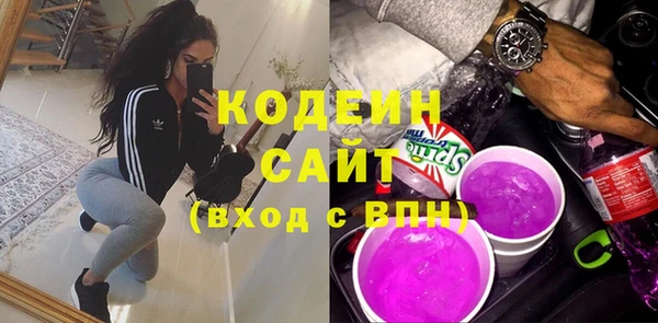 гашик Гусь-Хрустальный